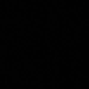 Meet your Posher, Carter